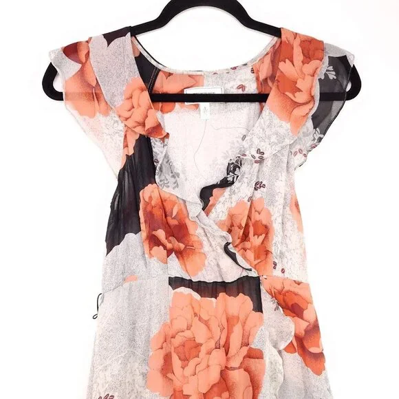 Moulinette Soeurs Anthropologie 100% Silk Dress Sheer Ruffle Floral Size 6 - Picture 3 of 14
